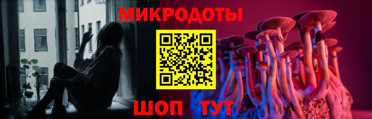 Псилоцибиновые грибы мухоморы Алексин