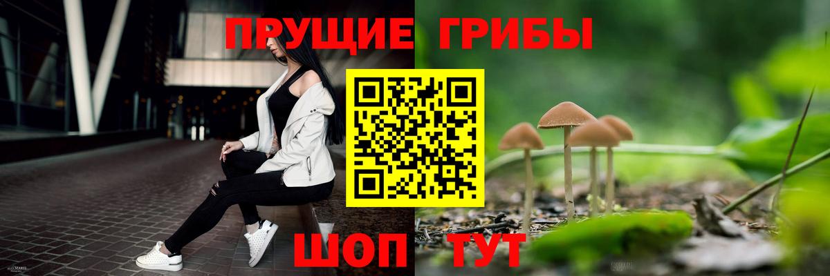 Псилоцибиновые грибы ЛСД  закладка  Галлюциногенные грибы MAGIC MUSHROOMS  Алексин  Вход с VPN 